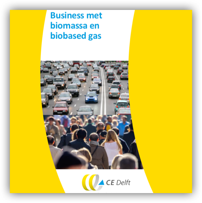 Business met biomassa en biobased gas