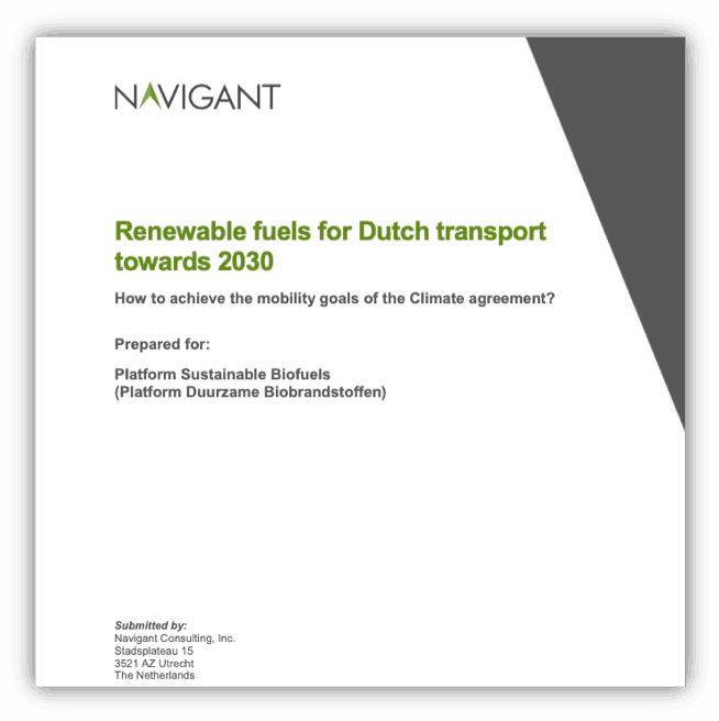Renewable fuels for Dutch transport towards 2030