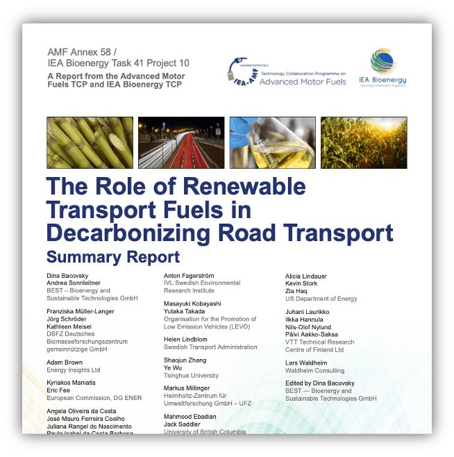 The role of renewable transport fuels in decarbonizing road transport